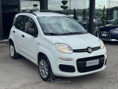 Fiat Panda Non fumatore usata Quarrata