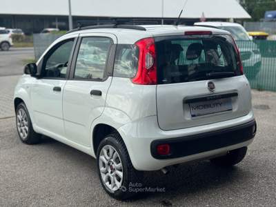 Fiat Panda Non fumatore usata Quarrata