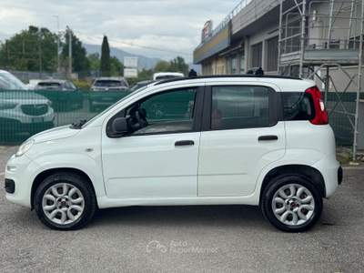 Fiat Panda Non fumatore usata Quarrata