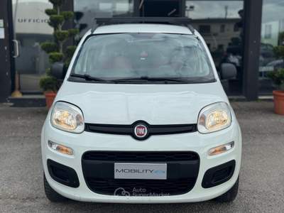 Fiat Panda Non fumatore usata Quarrata