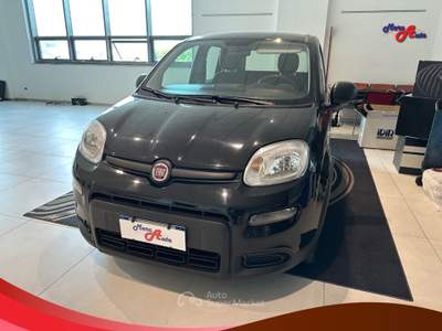 Fiat Panda Panda 1.0 FireFly S&S Hybrid Nero usata Ardore