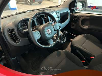 Fiat Panda Panda 1.0 FireFly S&S Hybrid Nero usata Ardore