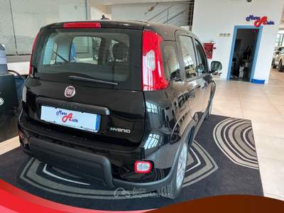 Fiat Panda Panda 1.0 FireFly S&S Hybrid Nero usata Ardore