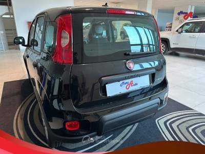 Fiat Panda Panda 1.0 FireFly S&S Hybrid Nero usata Ardore