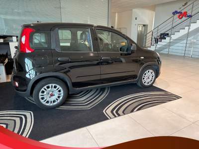 Fiat Panda Panda 1.0 FireFly S&S Hybrid Nero usata Ardore