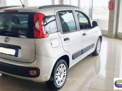 Fiat Panda 1.3 Mjt S&S Easy Argento usata Poggiardo