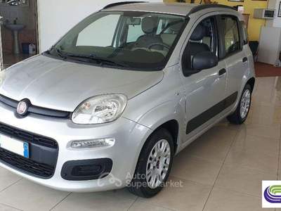 Fiat Panda 1.3 Mjt S&S Easy Argento usata Poggiardo