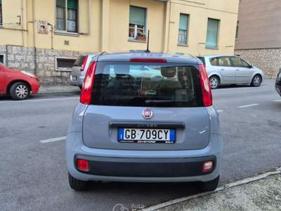 Fiat Panda 1.2 Easy usata Venafro