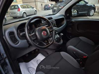 Fiat Panda 1.2 Easy usata Venafro