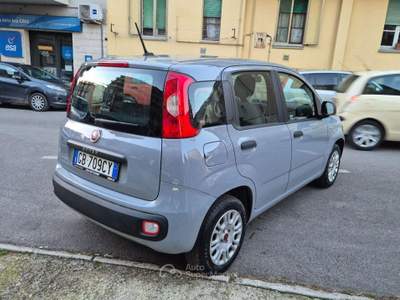 Fiat Panda 1.2 Easy usata Venafro