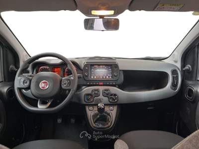 Fiat Panda III 2021 1.0 firefly hybrid City Life s&s 70cv 5p.ti usata Torino
