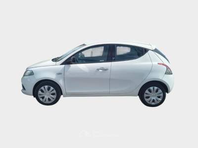 Lancia Ypsilon 16V 95 CV 5 porte S&S Gold Bianco usata Pisa
