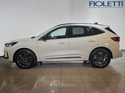 Ford Kuga Sound Edition 2.5 Benzina - Full HybridAutomatica (HF45)Anteriore 2WD Bianco usata Manerbio