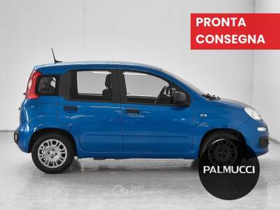 Fiat Panda 1.0 FireFly 70cv S&S Hybrid Pandina Blu/Azzurro usata Prato