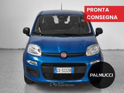 Fiat Panda 1.0 FireFly 70cv S&S Hybrid Pandina Blu/Azzurro usata Prato