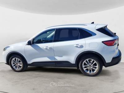 Ford Kuga 3ª SERIE 1.5 ECOBLUE 120 CV AUT. 2WD TITANIUM Bianco usata Bolzano
