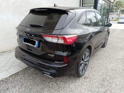 Ford Kuga 2.0 EcoBlue 120CV 2WD ST-Line X Auto Nero usata Grottammare