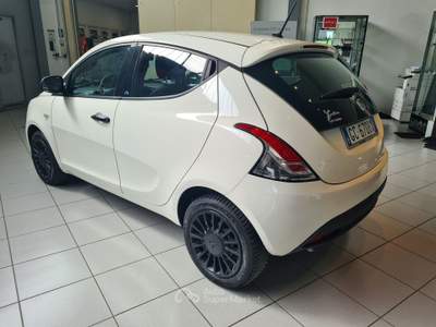 Lancia Ypsilon 1.2 69cv Elefantino Blu Bianco usata Parma