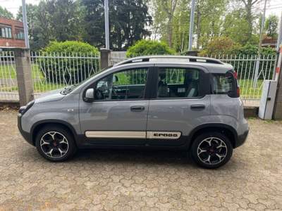 Fiat Panda 1.0 FireFly S&S Hybrid Grigio usata Caronno Pertusella