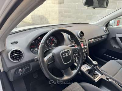 Audi A3 A3 Sportback Sportback 1.6 tdi Ambition Bianco usata Trescore Cremasco