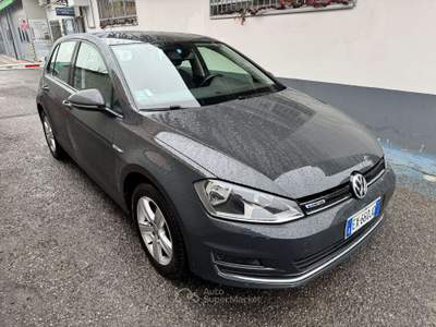 Volkswagen Golf Golf VII 5p 1.4 tgi Highline Grigio usata Trescore Cremasco