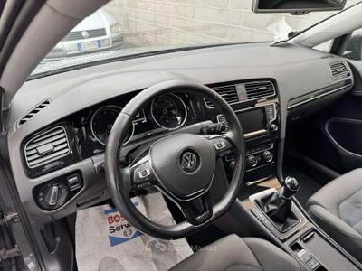 Volkswagen Golf Golf VII 5p 1.4 tgi Highline Grigio usata Trescore Cremasco