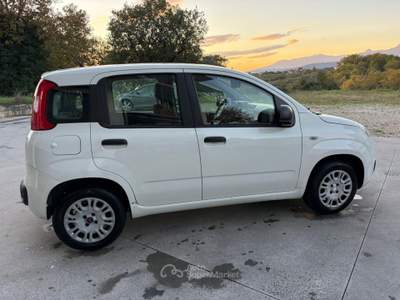 Fiat Panda AUTOCARRO VAN 4 POSTI Bianco usata Palomonte