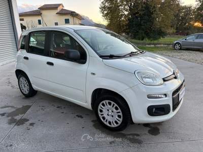 Fiat Panda AUTOCARRO VAN 4 POSTI Bianco usata Palomonte