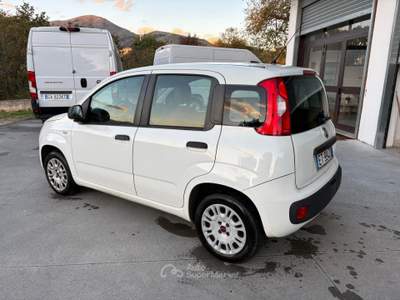 Fiat Panda AUTOCARRO VAN 4 POSTI Bianco usata Palomonte