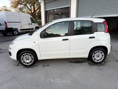 Fiat Panda AUTOCARRO VAN 4 POSTI Bianco usata Palomonte