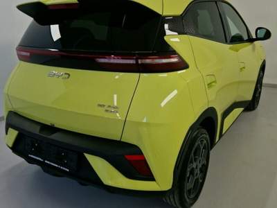 BYD Dolphin Dolphin Surf 43,2 kWh Comfort usata Sassocorvaro Auditore