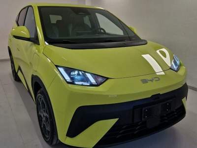 BYD Dolphin Dolphin Surf 43,2 kWh Comfort usata Sassocorvaro Auditore