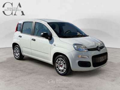Fiat Panda 1.2 Easy s&amp;s 69cv my19 usata Rovigo