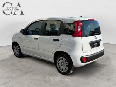 Fiat Panda 1.2 Easy s&amp;s 69cv my19 usata Rovigo