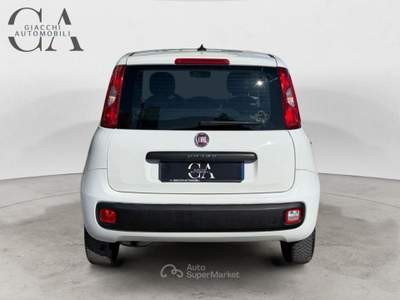 Fiat Panda 1.2 Easy s&amp;s 69cv my19 usata Rovigo