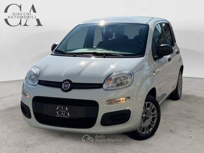 Fiat Panda 1.2 Easy s&amp;s 69cv my19 usata Rovigo