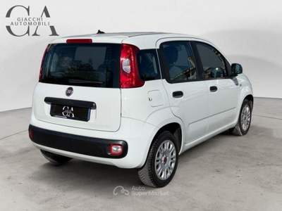Fiat Panda 1.2 Easy s&amp;s 69cv my19 usata Rovigo