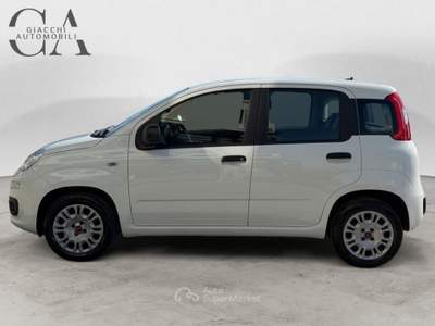 Fiat Panda 1.2 Easy s&amp;s 69cv my19 usata Rovigo