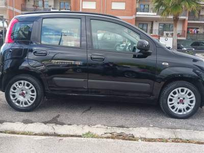 Fiat Panda FIAT PANDA 1.2 69CV LOUGE GPL Nero usata Frosinone
