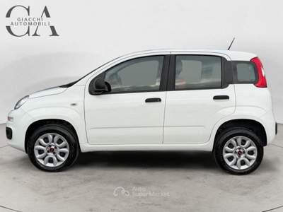 Fiat Panda 0.9 t.air t. natural power Easy 80cv usata Rovigo
