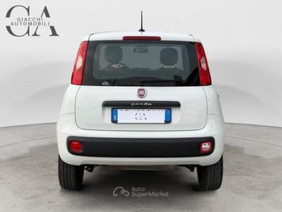 Fiat Panda 0.9 t.air t. natural power Easy 80cv usata Rovigo