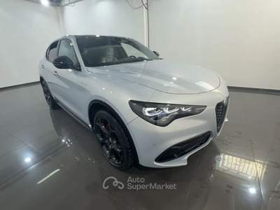 Alfa Romeo Stelvio Stelvio 2.2 t Veloce Q4 210cv auto Grigio usata Piombino Dese