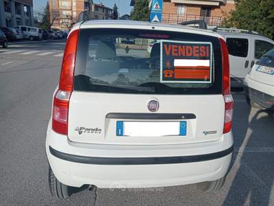 Fiat Panda Fiat panda natural power 1200 Bianco usata Marsciano