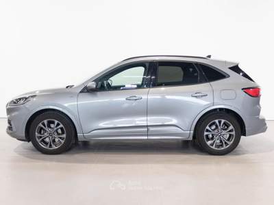 Ford Kuga EcoBlue 120 CV aut. 2WD ST-Line Grigio usata Brescia