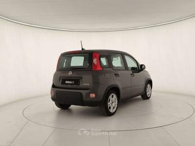 Fiat Panda Panda 1.0 firefly hybrid City Life s Grigio usata Monza