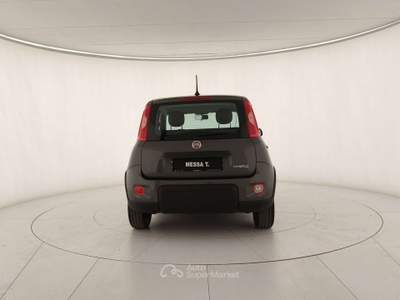 Fiat Panda Panda 1.0 firefly hybrid City Life s Grigio usata Monza