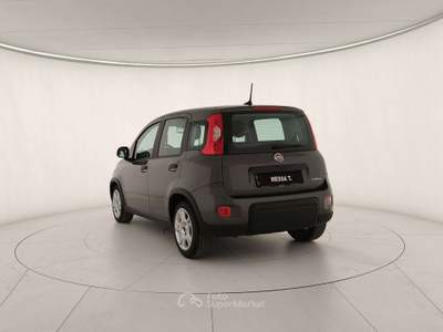 Fiat Panda Panda 1.0 firefly hybrid City Life s Grigio usata Monza