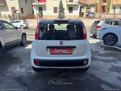 Fiat Panda Panda 1.2 Easy Bianco usata Fonte Nuova