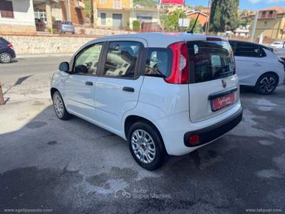 Fiat Panda Panda 1.2 Easy Bianco usata Fonte Nuova