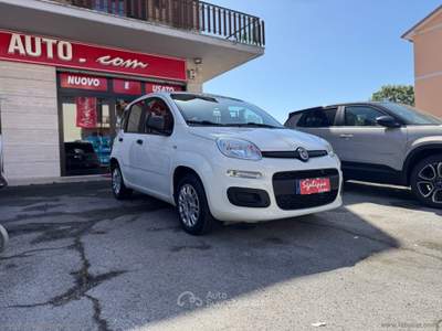 Fiat Panda Panda 1.2 Easy Bianco usata Fonte Nuova